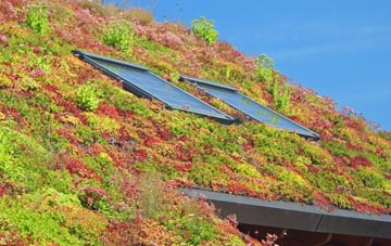 Lebberston living roof systems