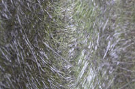 Lebberston fibreglass roof work